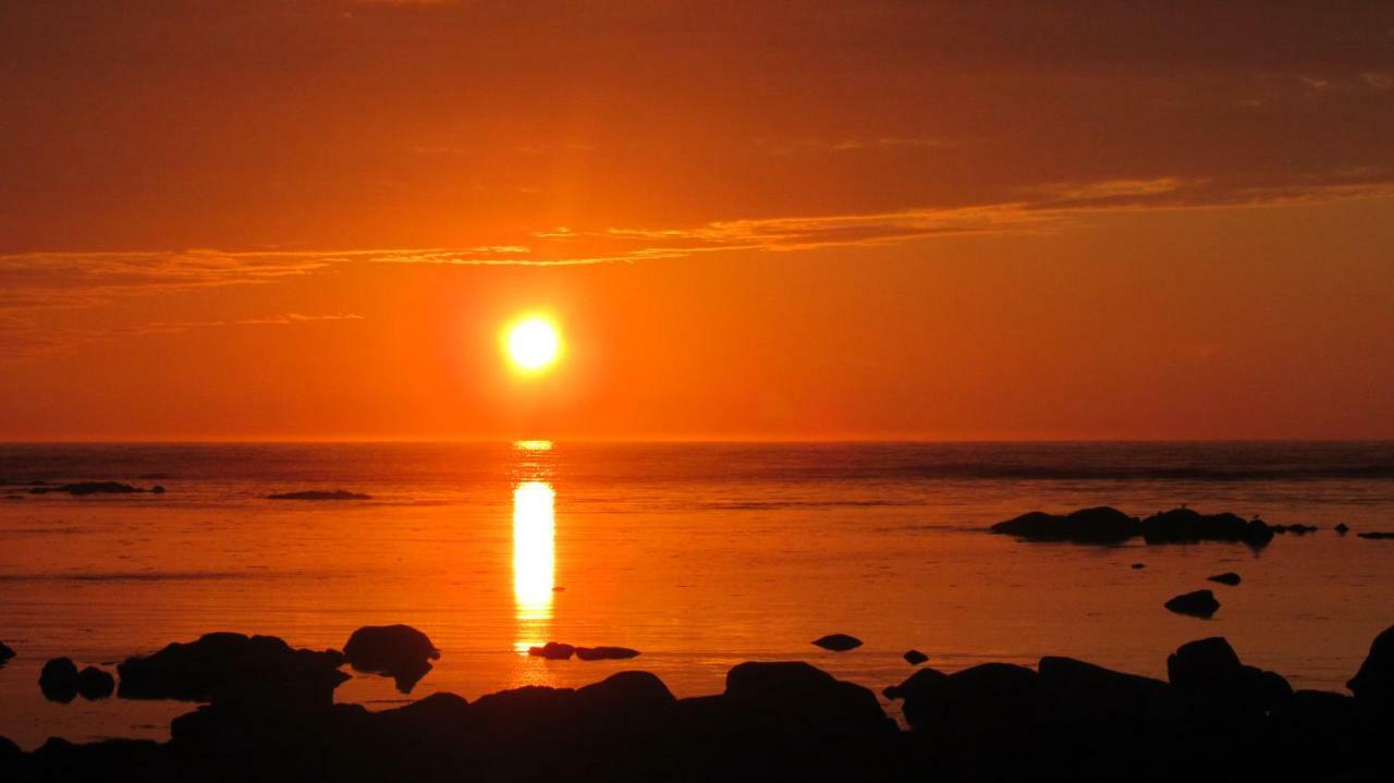 Lofoten - Hoynes Bostad Buitenkant foto