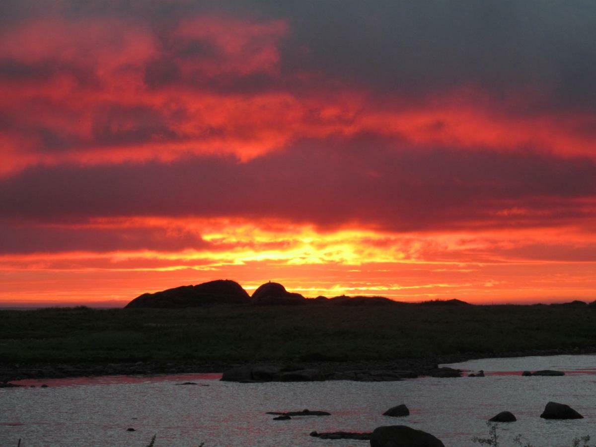Lofoten - Hoynes Bostad Buitenkant foto