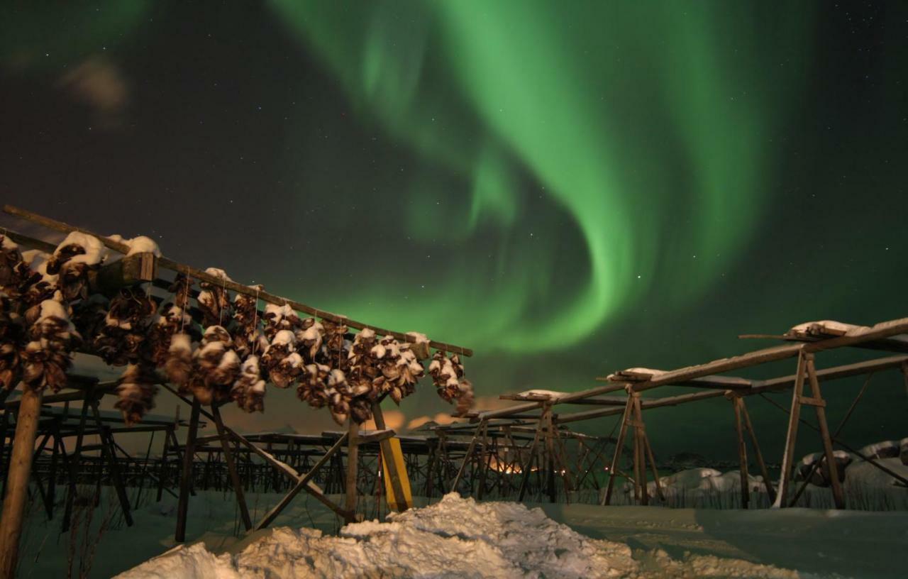 Lofoten - Hoynes Bostad Buitenkant foto